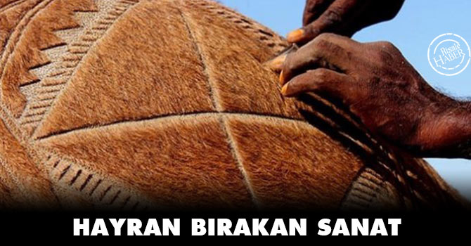 Bu sanat hayran bırakıyor