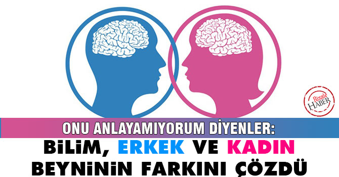 Bilim kadın ve erkek beyni arasındaki farkı çözdü