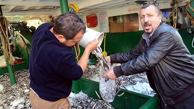 Kilogramı bir liraya satılan 10 ton hamsi 2 saatte tükendi