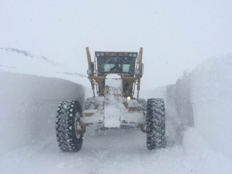 Van'da kar yağdırılmaya başladı