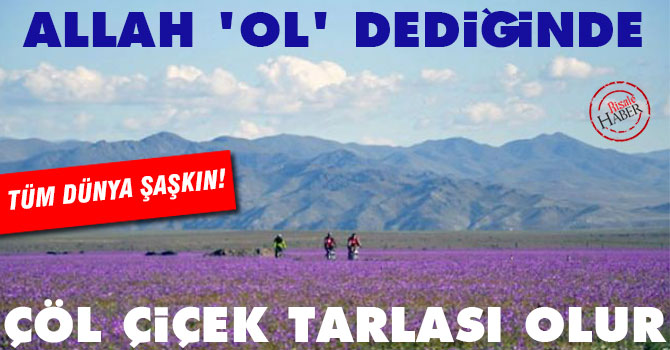 Allah 'ol' dediğinde çöl çiçek tarlası oluverir