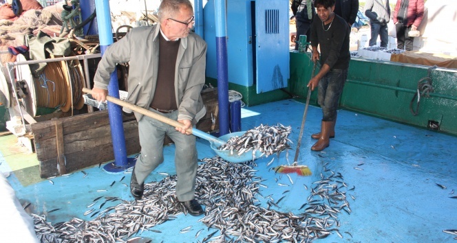 Amasra'da hamsi 50 kuruş