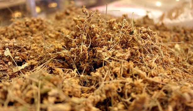 Ihlamur fiyatları cep yakıyor