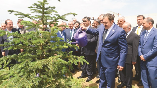 Türkiye’nin üçte biri orman olur