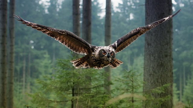 50 kişiyi yaralayan baykuşa ömür boyu hapis cezası