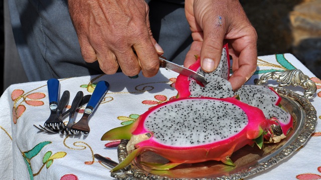 Beyin tümörleri her yaşta görülebilir