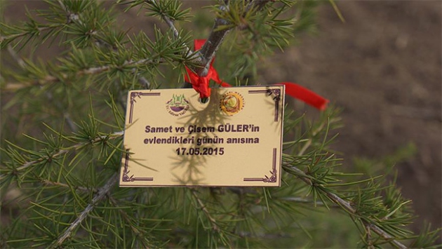 Yeni çift ve bebekler için fidan kampanyası