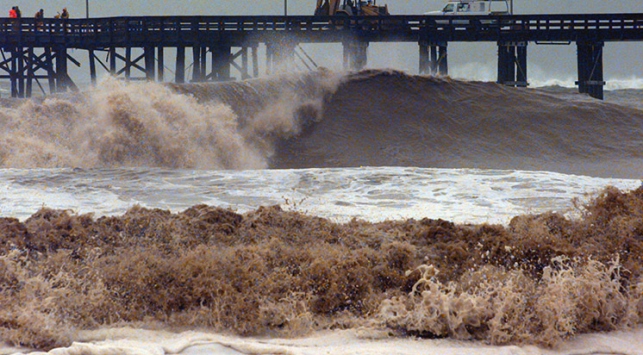 El Nino, milyonlarca Afrikalıyı tehdit ediyor