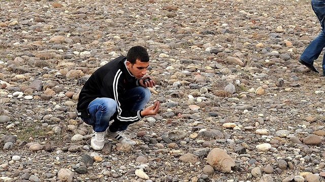 Bingöl'e meğer göktaşı değil altın yağmış!