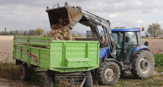 Pancar kotası çiftçiyi üzdü