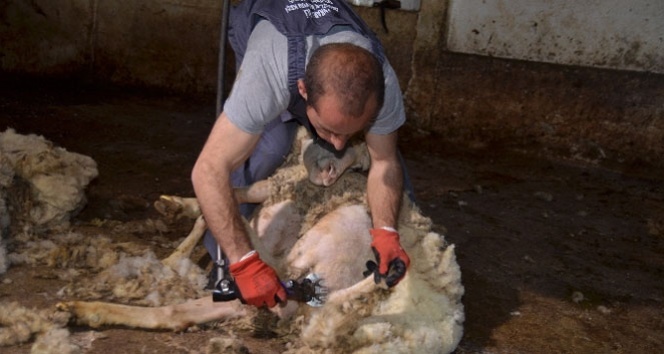 Bu eğitim Türkiye’de ilk kez verilecek