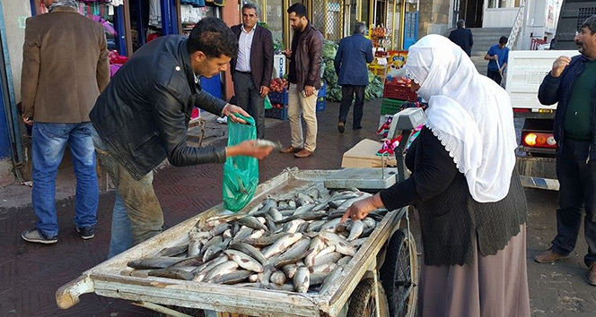 Balık, gençlerin umudu oldu