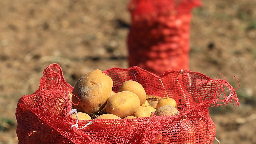 Patates soğan hediyesi evlilik bitirdi!