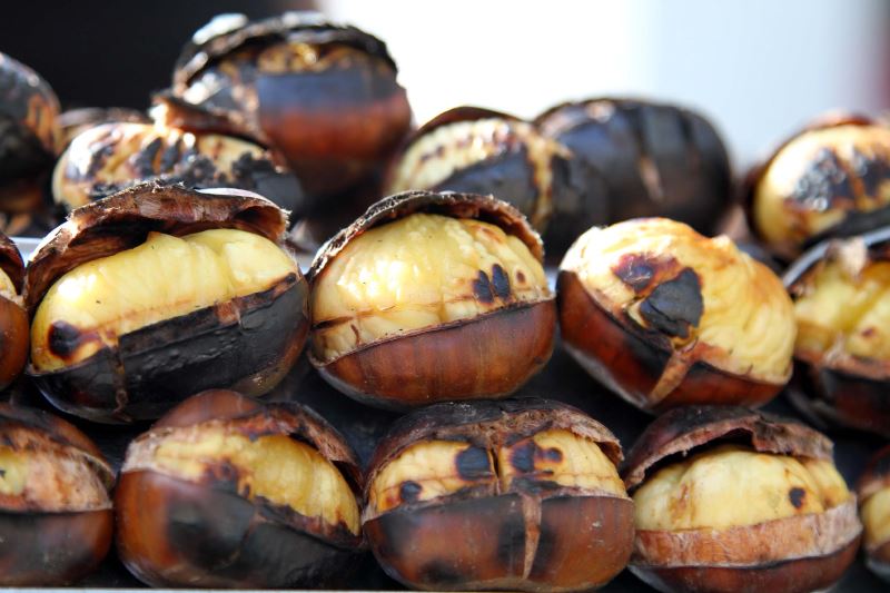 Daha fazla kestane üretmeliyiz