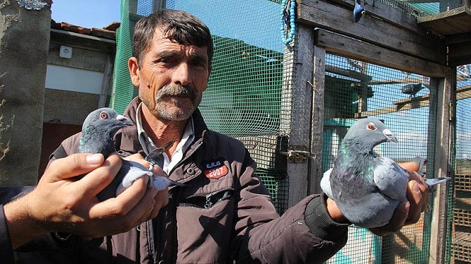 Güvercinlerini 'Kırkpınar marşları' ile yarışlara hazırlıyor