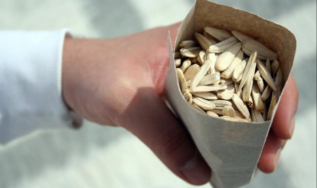 Uzmanlar uyarıyor! Çekirdeği sakın böyle yemeyin