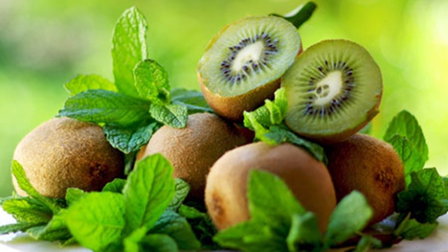 Fındık üreticileri kivi ve çilekle ek gelir sağlıyor