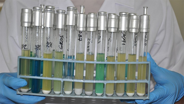 YYÜ Gıda Kontrol Laboratuvarı açıldı