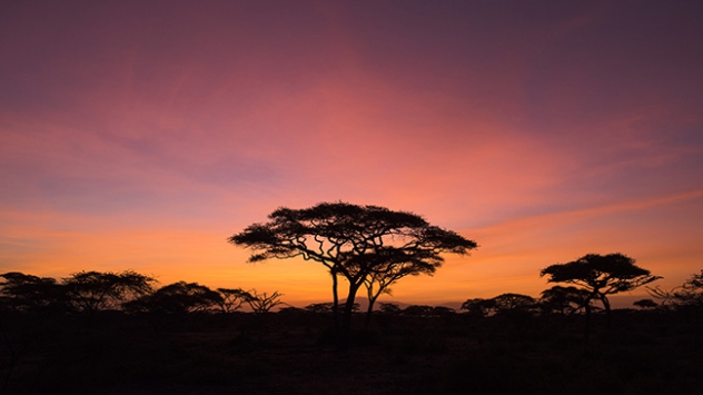 Ilıman iklim insanları daha 'dost canlısı' olabilir