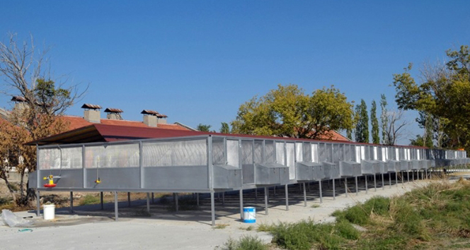 Türkiye’nin en büyük keklik üretme merkezi