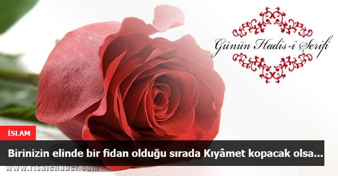 Birinizin elinde bir fidan olduğu sırada Kıyâmet kopacak olsa