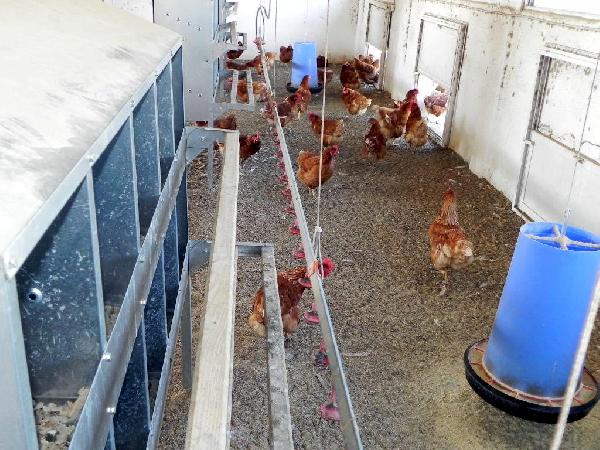 Ünlü kumaş üreticisi, öz sermayesini 100 milyon TL artırıyor