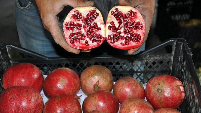 Sağlıklı yaşam için 'nar' önerisi
