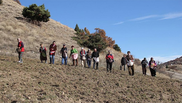 Köylüler ekiyor yaban hayvanları hasat ediyor