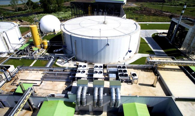 Hayvansal atıklardan sentetik petrol üretecekler