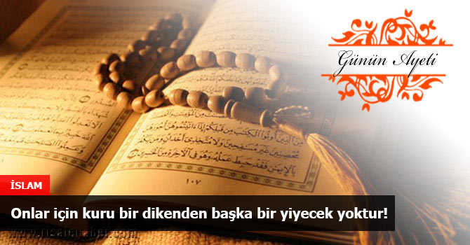 Onlar için kuru bir dikenden başka bir yiyecek yoktur!