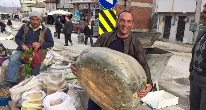 65 kiloluk kabak şaşırttı