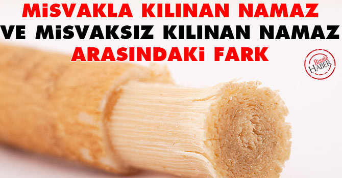 Misvakla kılınan namaz ve misvaksız kılınan namaz arasındaki fark