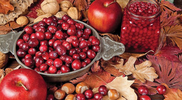 Turna yemişi kalbi ve beyni koruyor