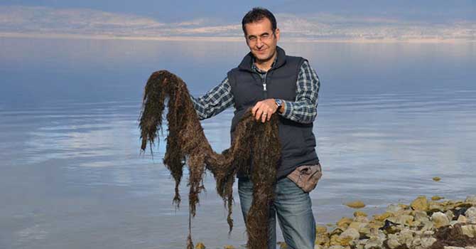 'Ördek otu, Burdur Gölü'ndeki faunayı olumlu etkiliyor'