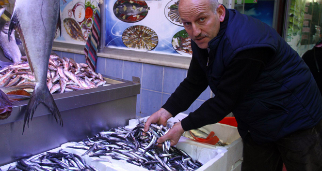 Sıcak havalar hamsi fiyatlarını etkiledi