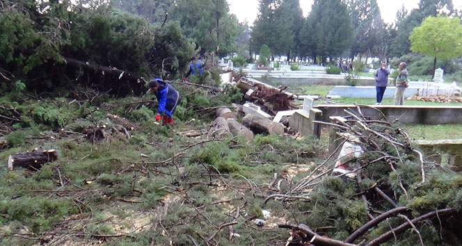 Hortumun yaraları sarılıyor