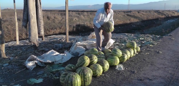 Kışlık karpuzun kilosu, yazınkinin 4 katı