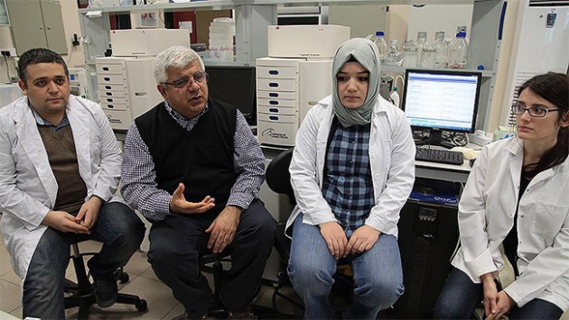 Güveye dirençli domates geliştirildi