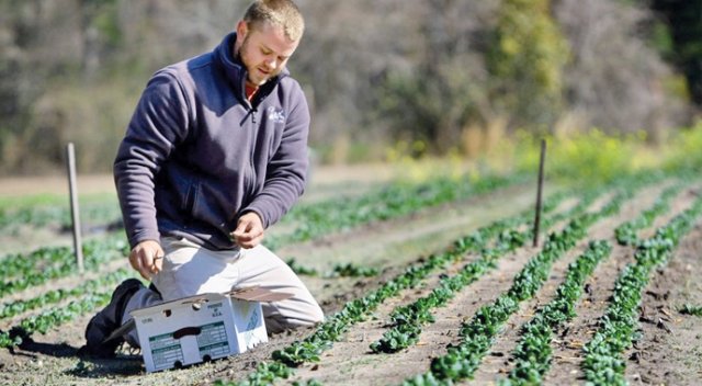 Ambargo en çok Rus çiftçiyi vurur