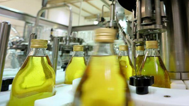 Dünyanın en kaliteli zeytinyağı üretildi