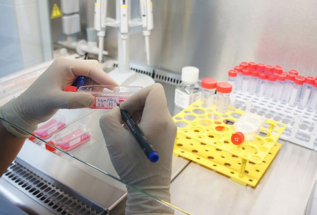 Kanserde yeni tedavi dokuda kitle oluşmadan tespit edilecek