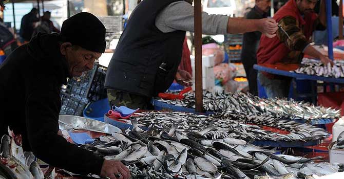 Samsun'da balık fiyatları açıklandı
