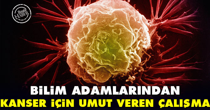 Bilim adamlarından kanser için umut veren çalışma