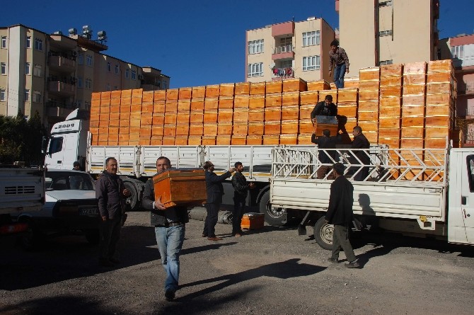 Adıyaman’da arıcılara bin 50 adet kovan dağıtıldı