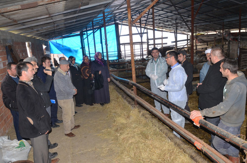 Kadınlar, çobanlık mesleğine renk katacak