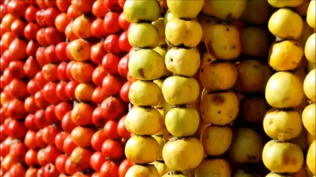 Kalp sağlığınız için alıç tüketin