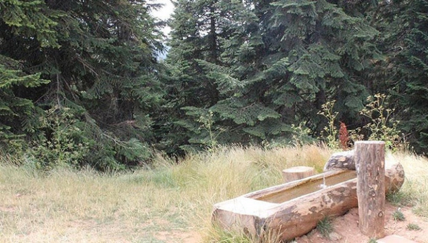 Yaban hayvanlarına su temini için 29 sulama yatağı