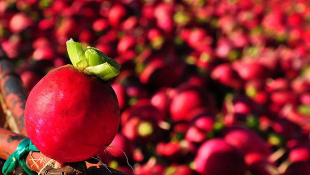 Turpta daha çok C vitamini var