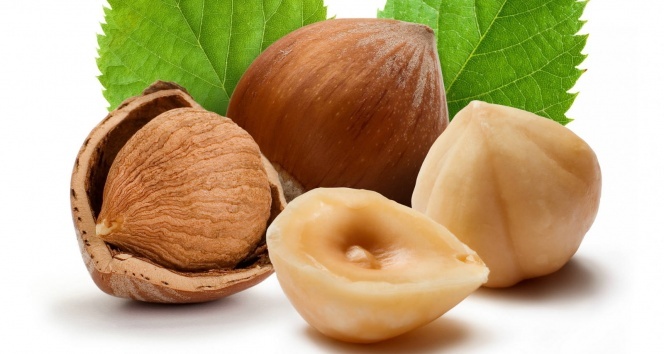 Kar, fındığı kış uykusuna yatırdı