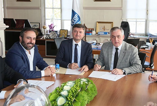 Eyüp yeşile bürünecek